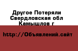 Другое Потеряли. Свердловская обл.,Камышлов г.